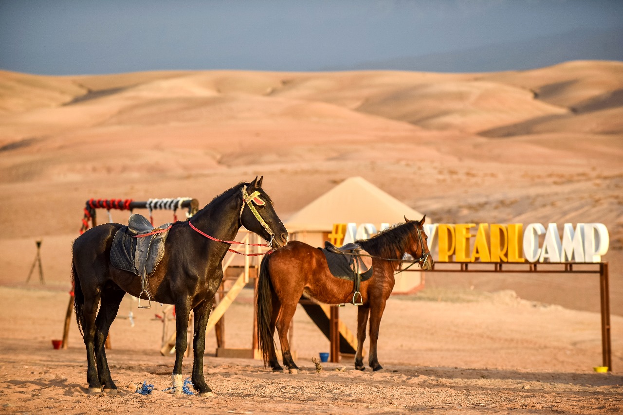 Balade Cheval Agafay Marrakech